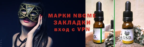 PSILOCYBIN Осинники