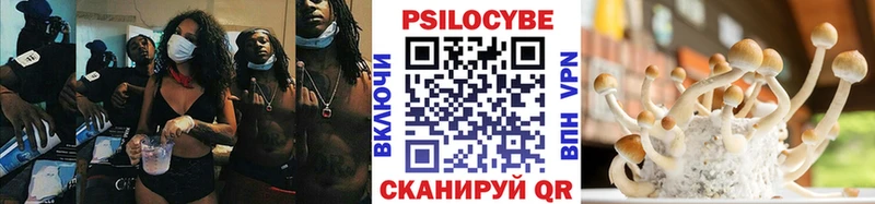 Галлюциногенные грибы Psilocybine cubensis  Иркутск 