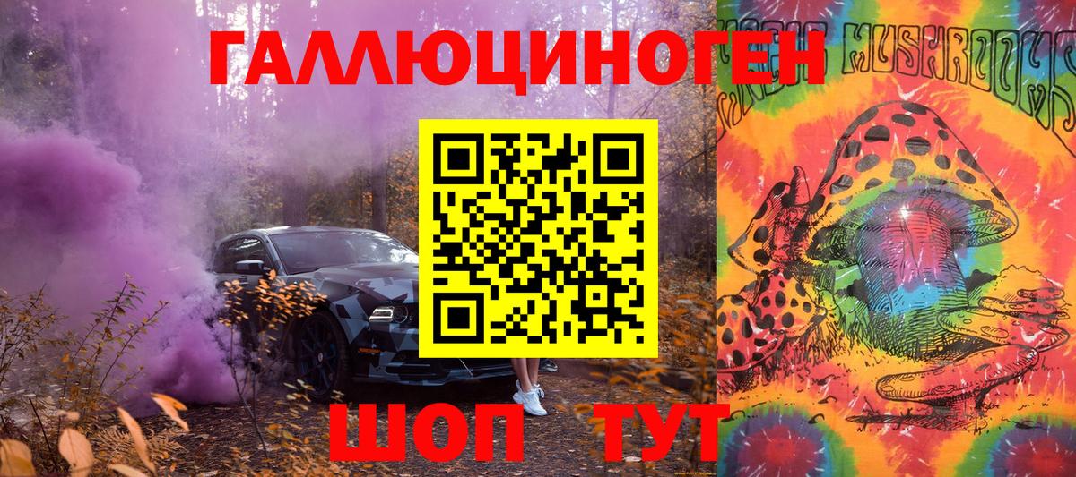 Псилоцибиновые грибы Psilocybine cubensis Иркутск